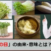 発芽野菜の日のアイキャッチ画像