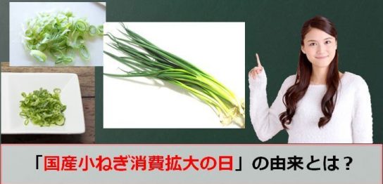 国産小ねぎ消費拡大の日のアイキャッチ画像