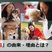 愛犬の日のアイキャッチ画像